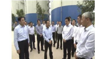 聚焦区域情形治理：广西壮族自治区主席陈武考察腾博官网生态循环工业园