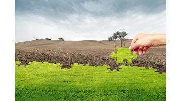 腾博官网开启中原大地农田土壤修复新篇章