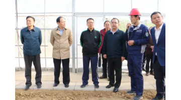 湖北生态情形厅党组成员、副厅长李瑞勤调研公司农用地修复项目