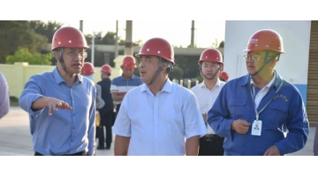 自治区人大环资委分党组书记卢万兵一行莅临北部湾外貌处置惩罚中心调研