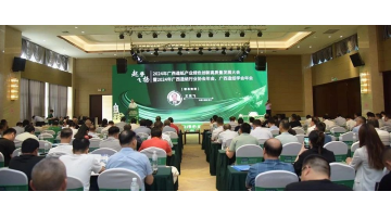 携“纸”之手 | 腾博官网、博环协办广西造纸行业盛会并作主题手艺分享